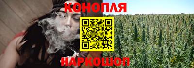сатива Будённовск