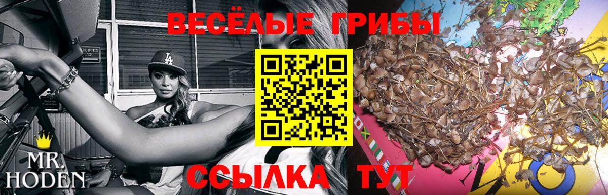 сколько стоит  Галлюциногенные грибы Cubensis  Галлюциногенные грибы MAGIC MUSHROOMS  Вход с VPN  Лесозаводск 